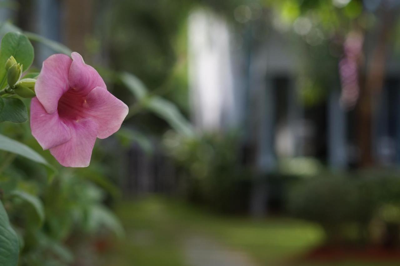 Phu Quoc Hotel Eksteriør billede