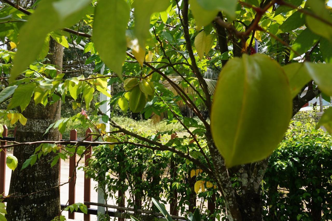 Phu Quoc Hotel Eksteriør billede